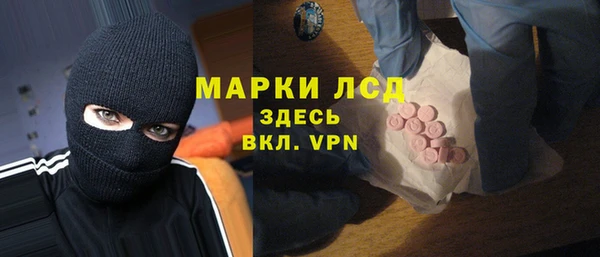 индика Арсеньев