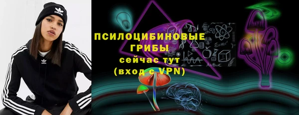 соль курить ск Алзамай