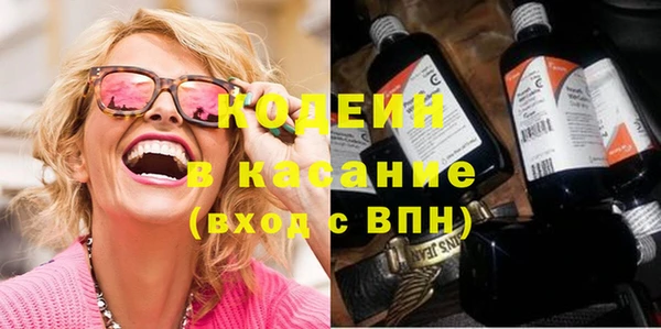 индика Арсеньев