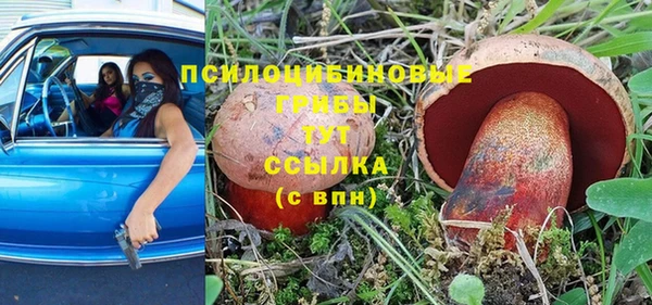 соль курить ск Алзамай